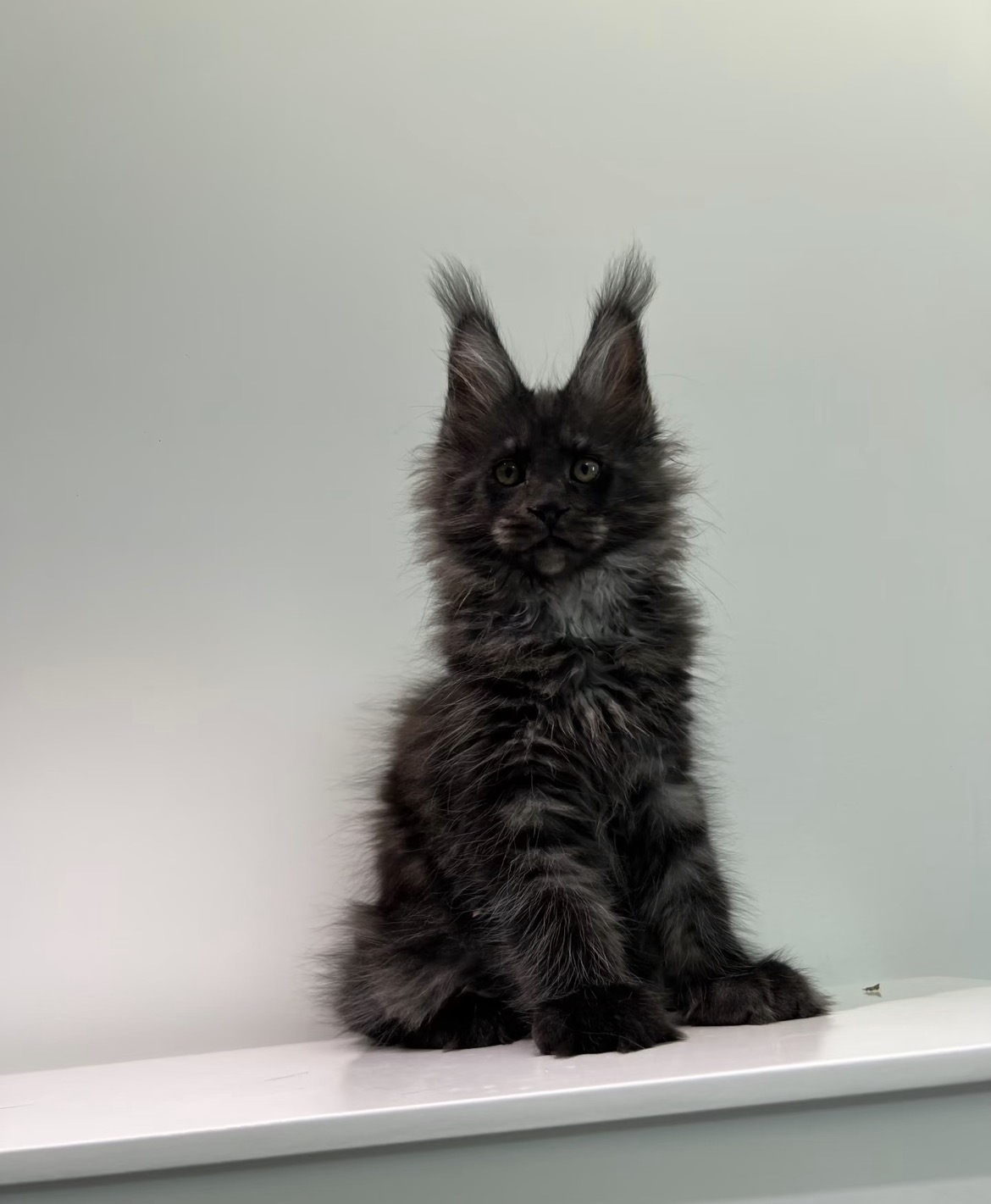 Onyx photo 2